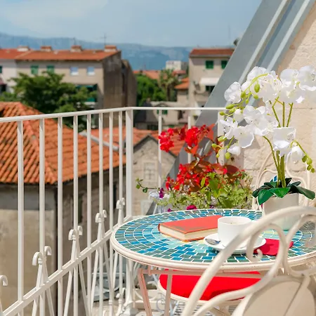 Flos Luxury Pensión Split